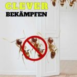 Clever Ameisen bekämpfen