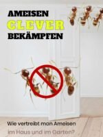 Clever Ameisen bekämpfen