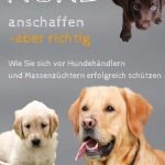 Hund anschaffen – aber richtig